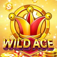 Wild Ace by Jili 1:100